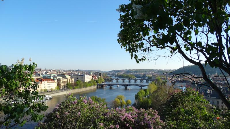 Ein Blick auf die Moldau in Prag
